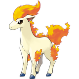Ponyta