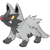 Poochyena