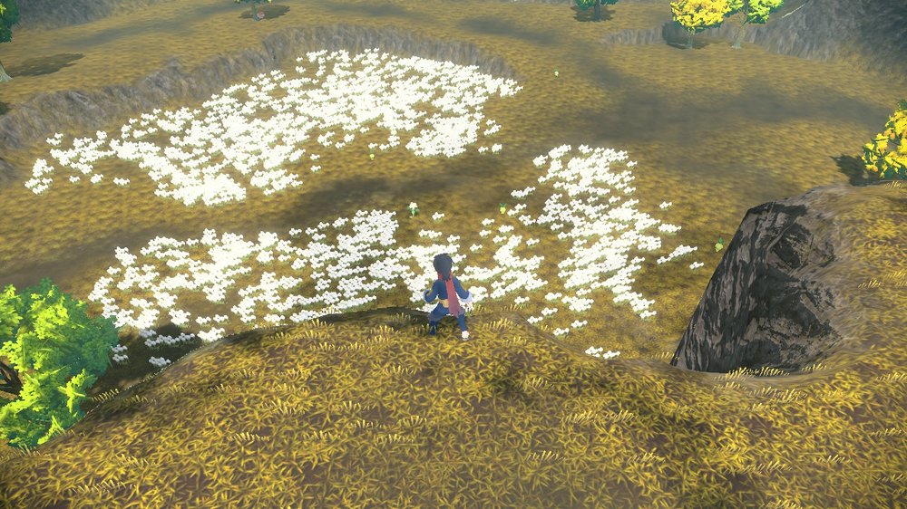 Cottonsedge Prairie 1