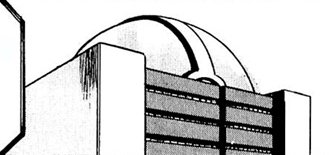 Lilycove City 14