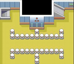 Trainer Tower 14