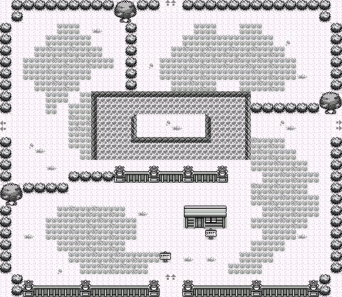 Safari Zone 3