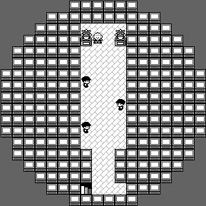 Pokémon Tower 12