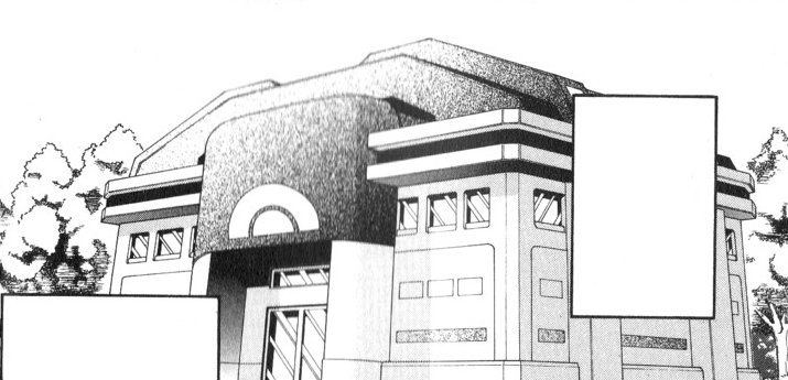 Veilstone City 19