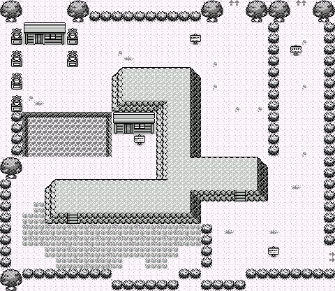 Safari Zone 6