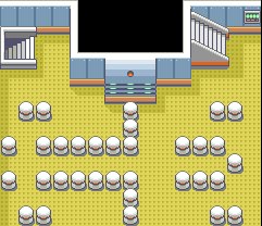 Trainer Tower 20