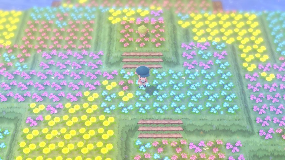 Flower Paradise 1