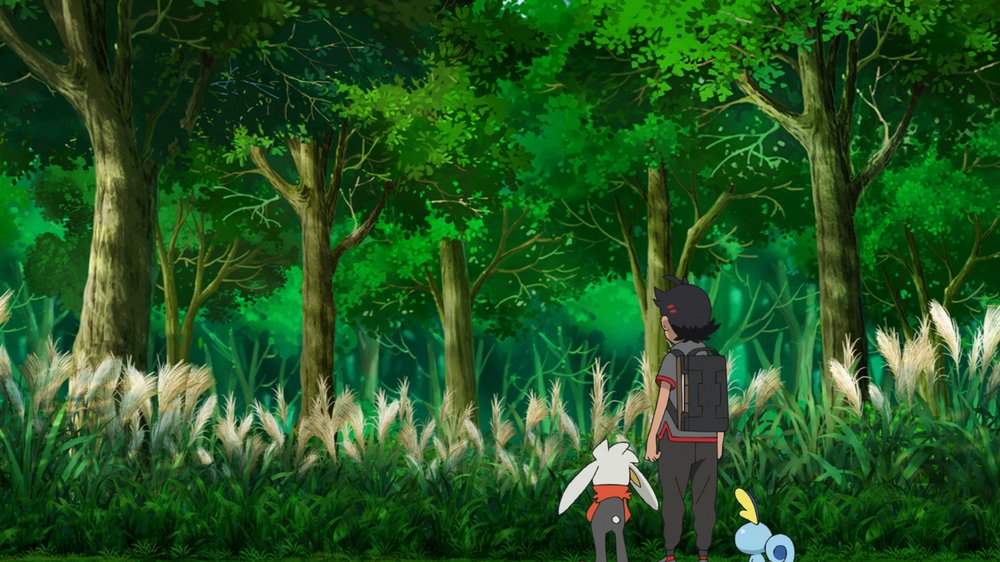 Ilex Forest 3