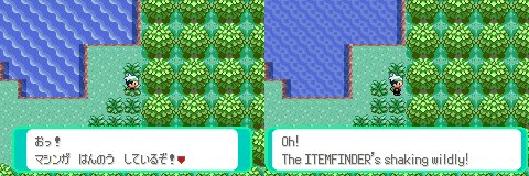 Safari Zone 10