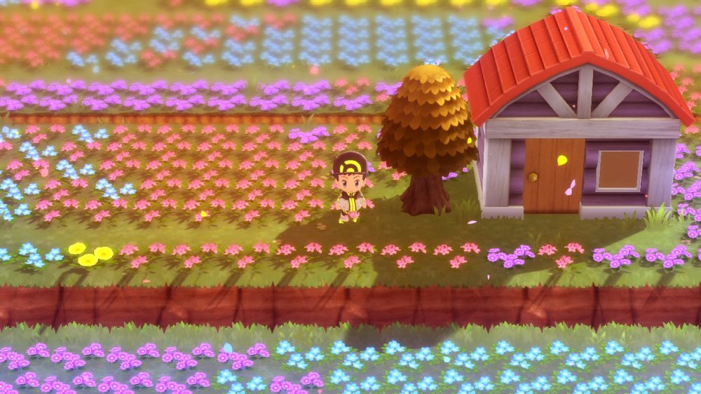 Floaroma Meadow 1