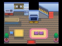Twinleaf Town 3
