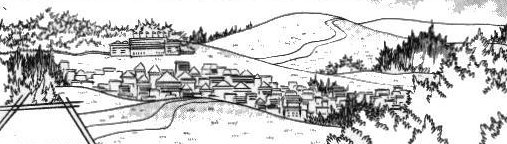 Fuchsia City 17