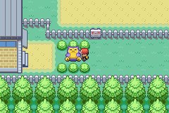 Route 16 2