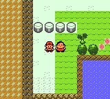 Viridian City 14