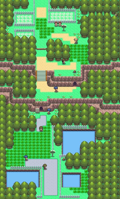 Route 204 2