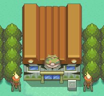 Johto Safari Zone 1