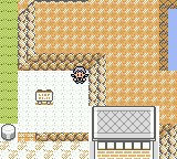 Cinnabar Island 10