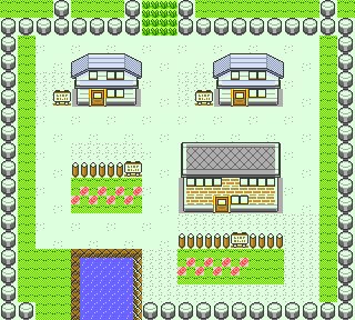Pallet Town 3