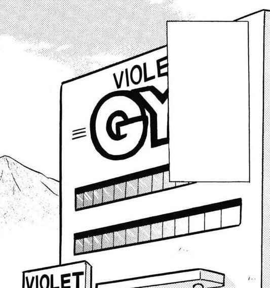 Violet City 13