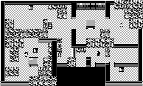 Pokémon Mansion 6