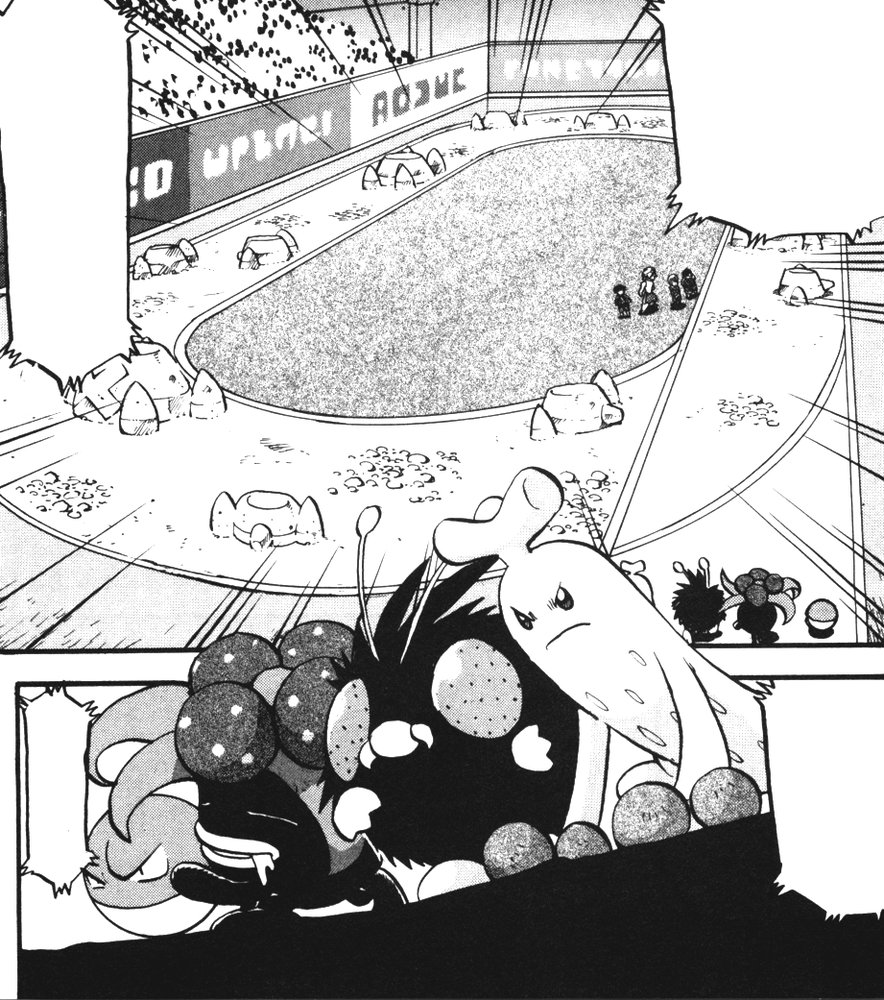 Pokéathlon Dome 16