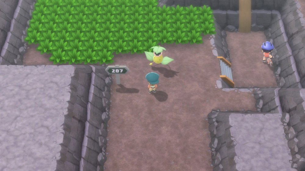 Route 207 1