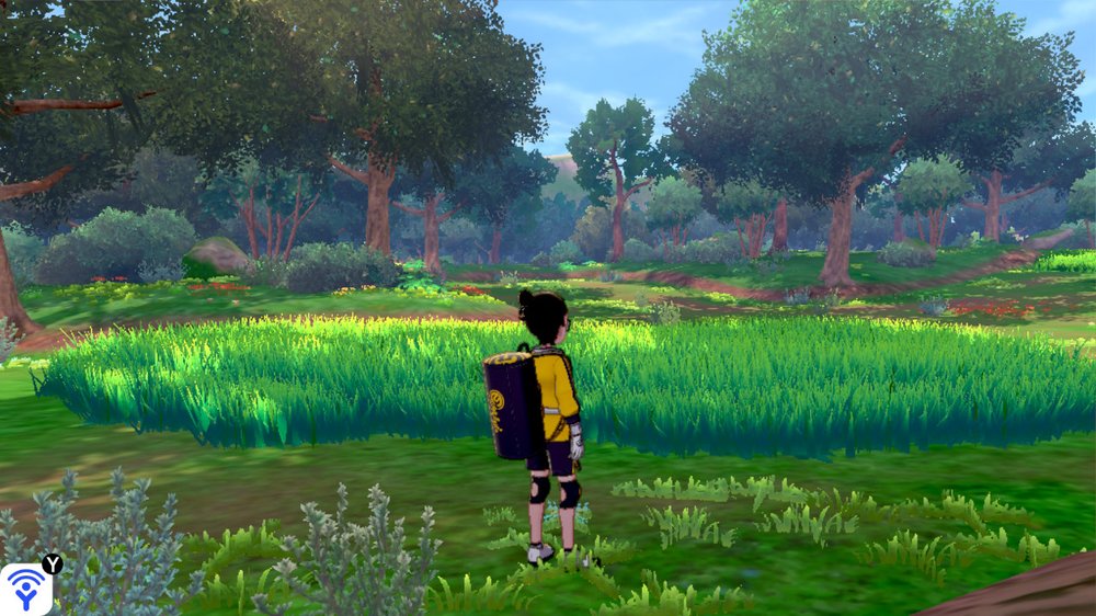 Forest of Focus 1