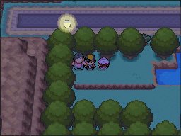 Viridian City 16