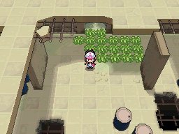 Dreamyard 2