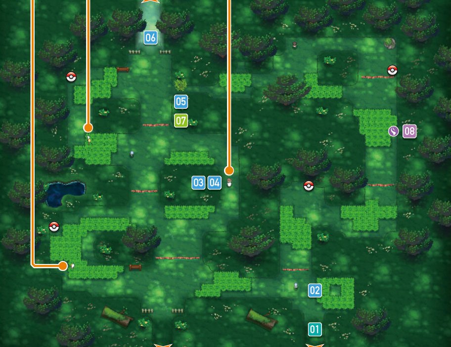 Petalburg Woods 1