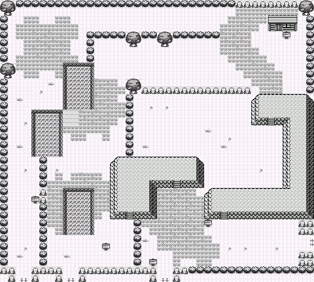 Safari Zone 5