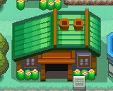 Viridian City 12