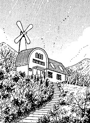 Pallet Town 30