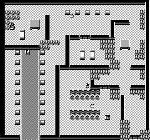 Pokémon Mansion 4