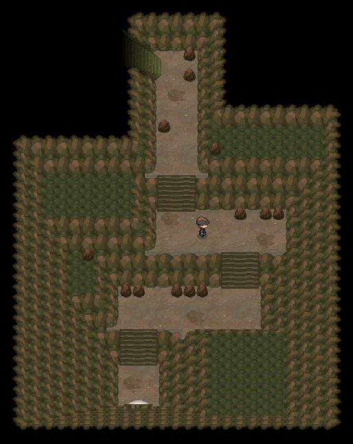 Victory Road 13