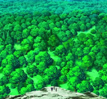 Pinwheel Forest 5
