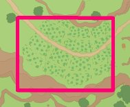 Apple Hills 2