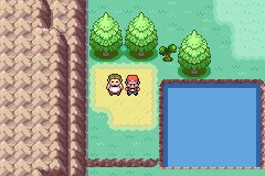 Viridian City 15
