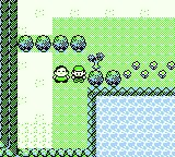 Viridian City 13