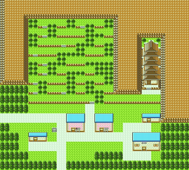 Blackthorn City 13