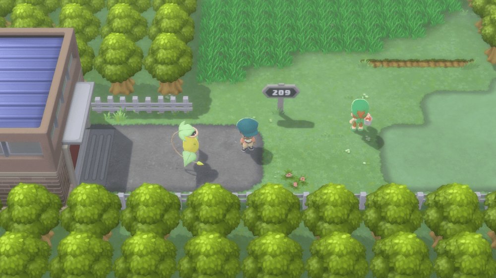 Route 209 1