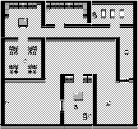 Pokémon Mansion 7