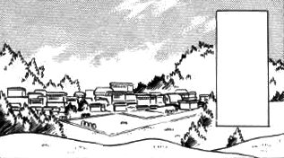 Viridian City 24
