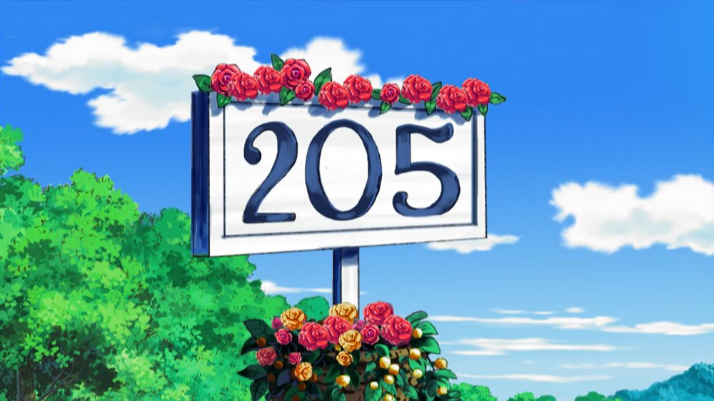 Route 205 6