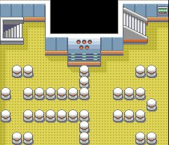 Trainer Tower 24
