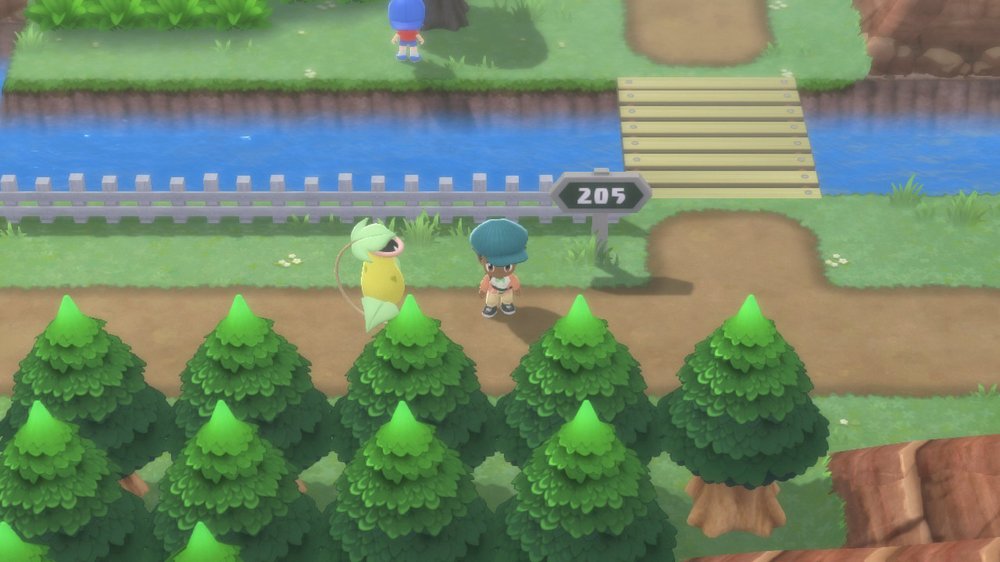 Route 205 1