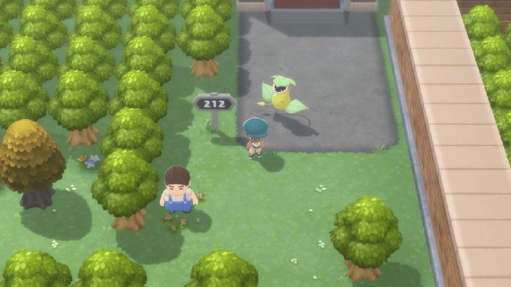 Route 212 1