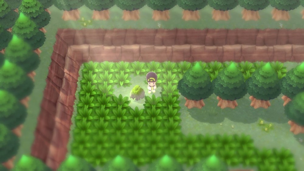 Eterna Forest 2