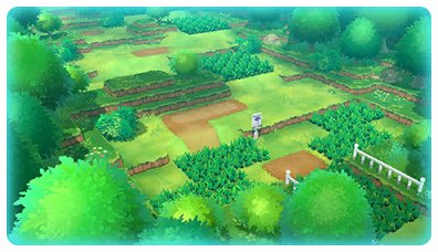 Route 1 1