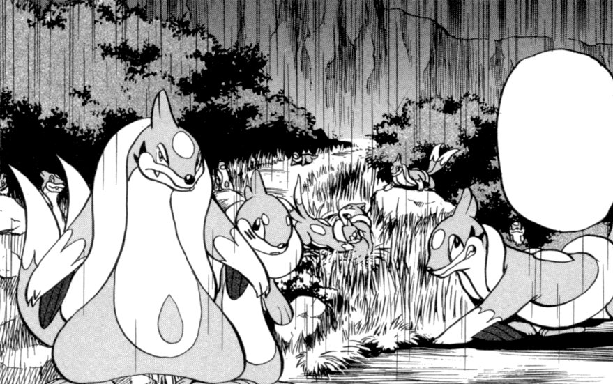Route 213 4
